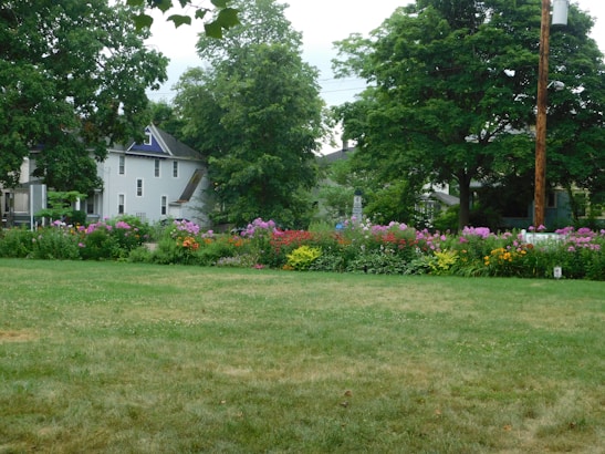A lush green lawn is bordered by vibrant flowerbeds full of colorful blooms, including pink, red, and orange flowers. Large leafy trees and a few houses frame the background, creating a serene residential scene.