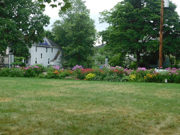 A beautifully landscaped yard showcasing vibrant flowers and lush greenery.