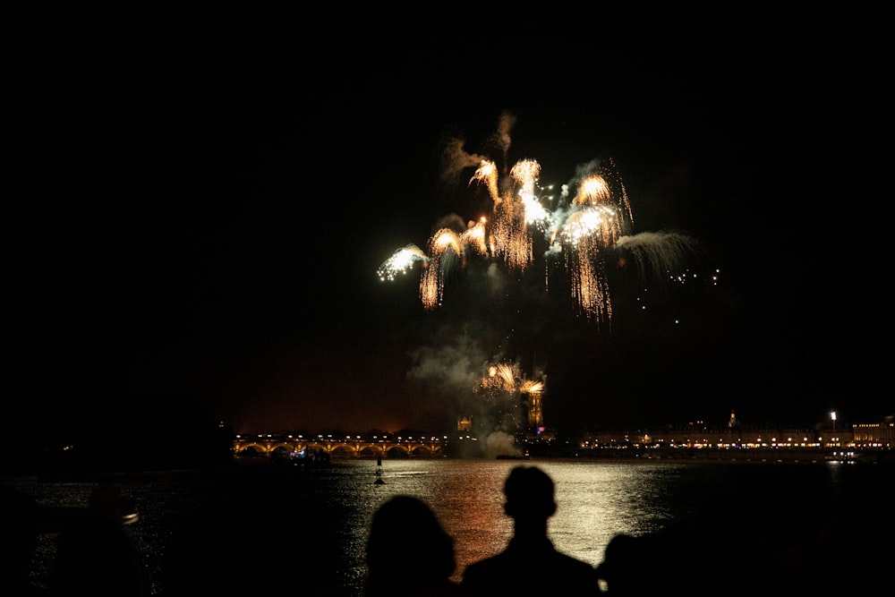 people watching firework display during nighttime