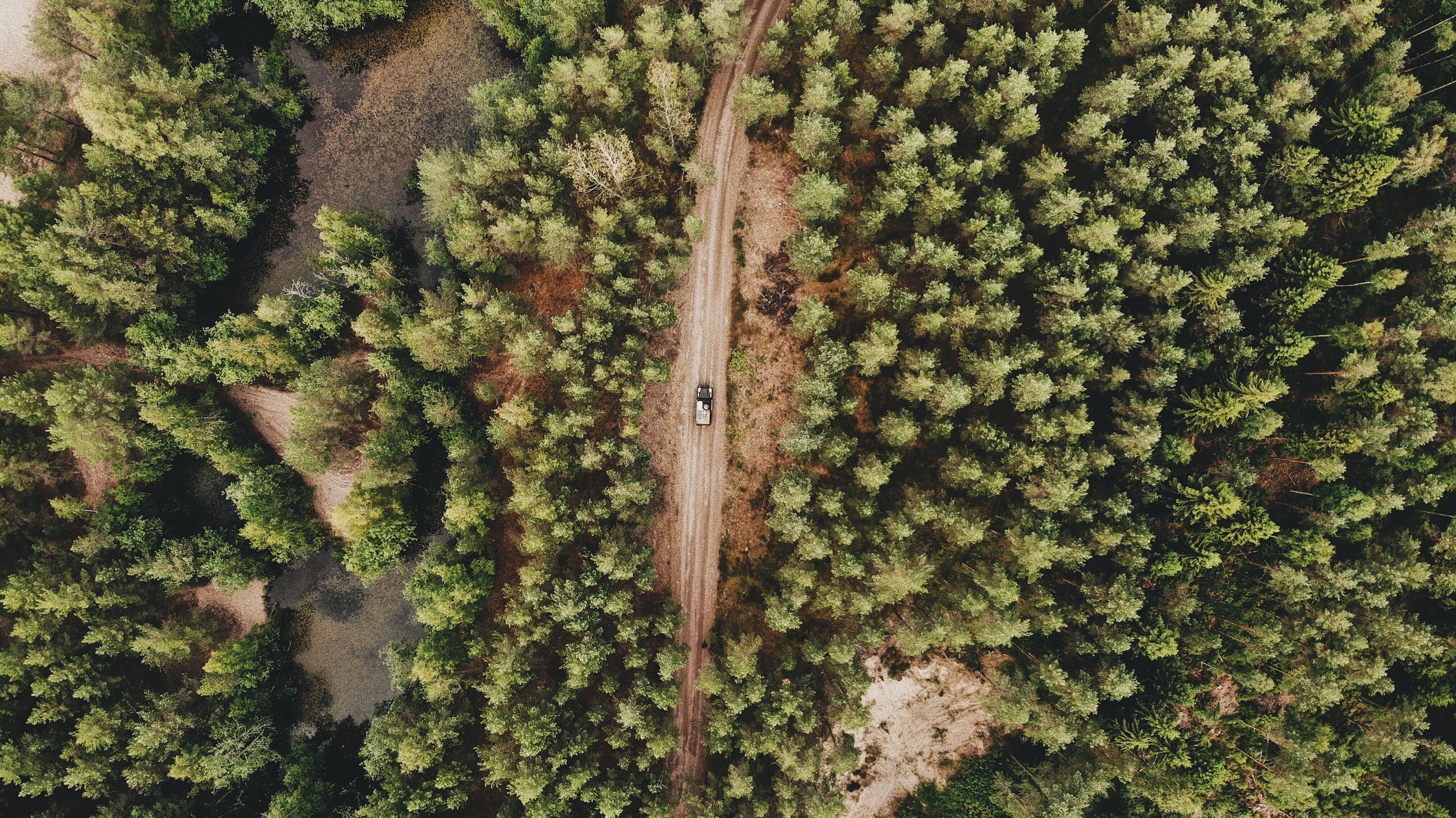 Photo by delavaucharlie