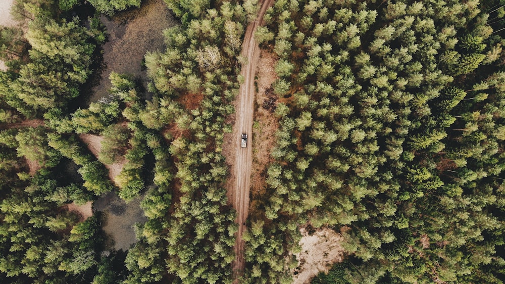 vehicle in road top-view photography