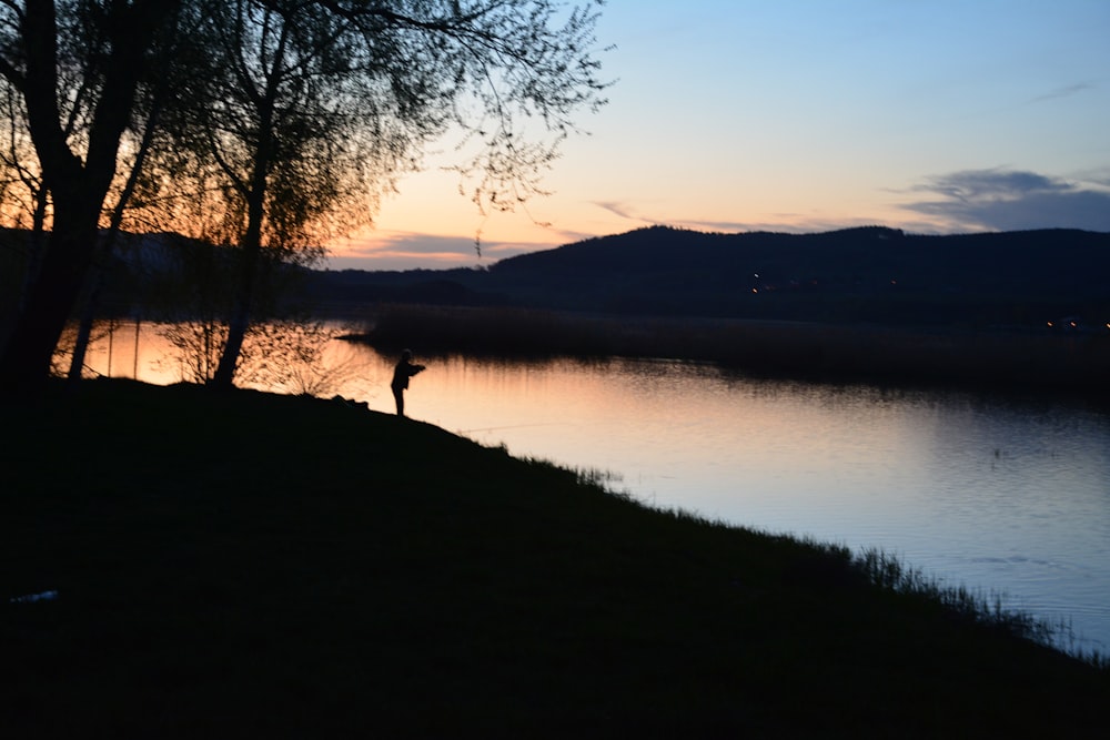 silhouette of tree and mountain