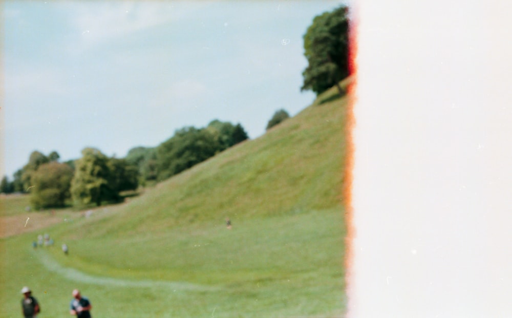 a group of people standing on top of a lush green field