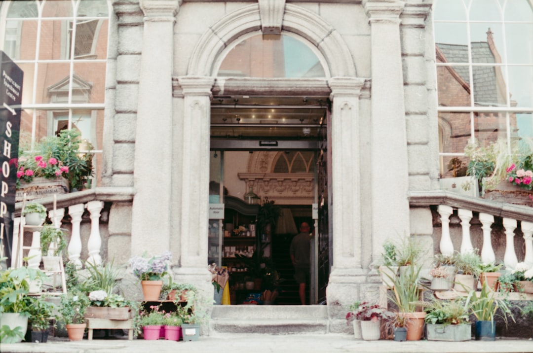 plants on pots beside staircase