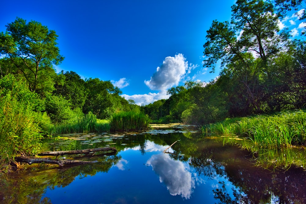 landscape photo of blue and brown lake between grass