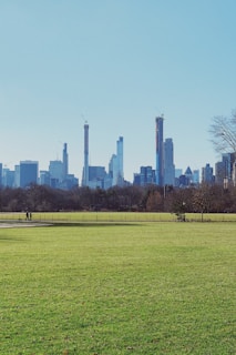 green grass field