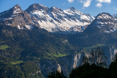 A panoramic view of snow-capped peaks towering over lush pine forests in Himachal Pradesh.