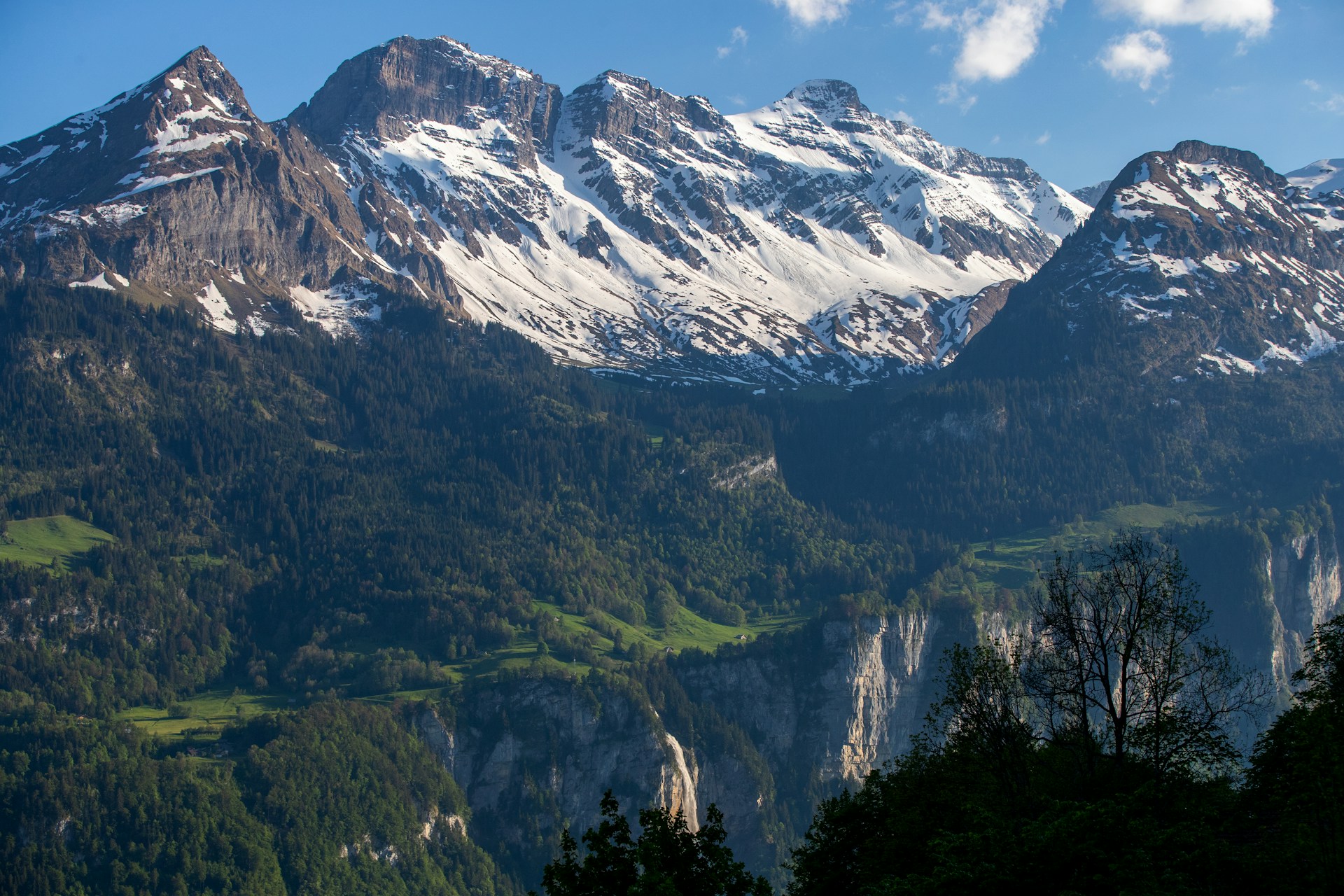 A panoramic view of the Chopta Tungnath valley showcasing dense forests, snow-capped peaks, and a clear blue sky.