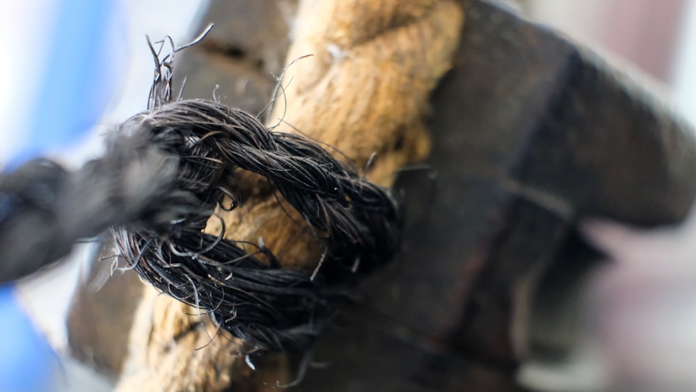 selective focus photo of brown and black ropes