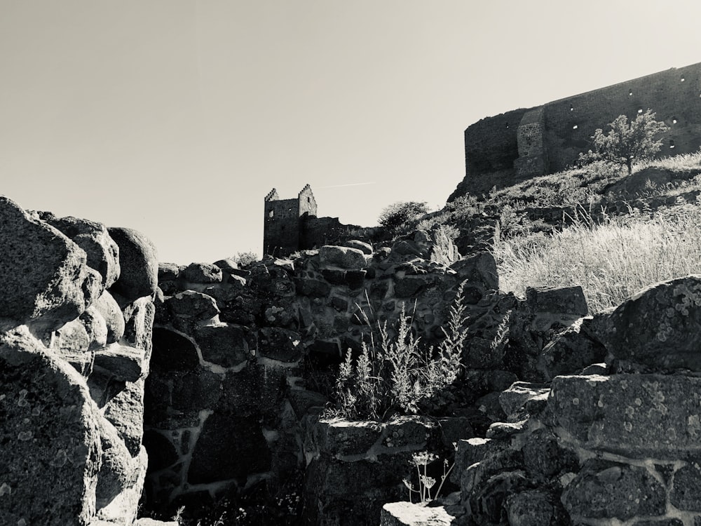 black and gray rock formation close-up photography