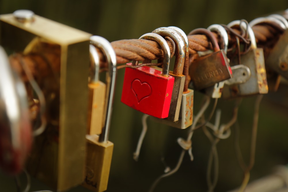 several padlocks on metal cable