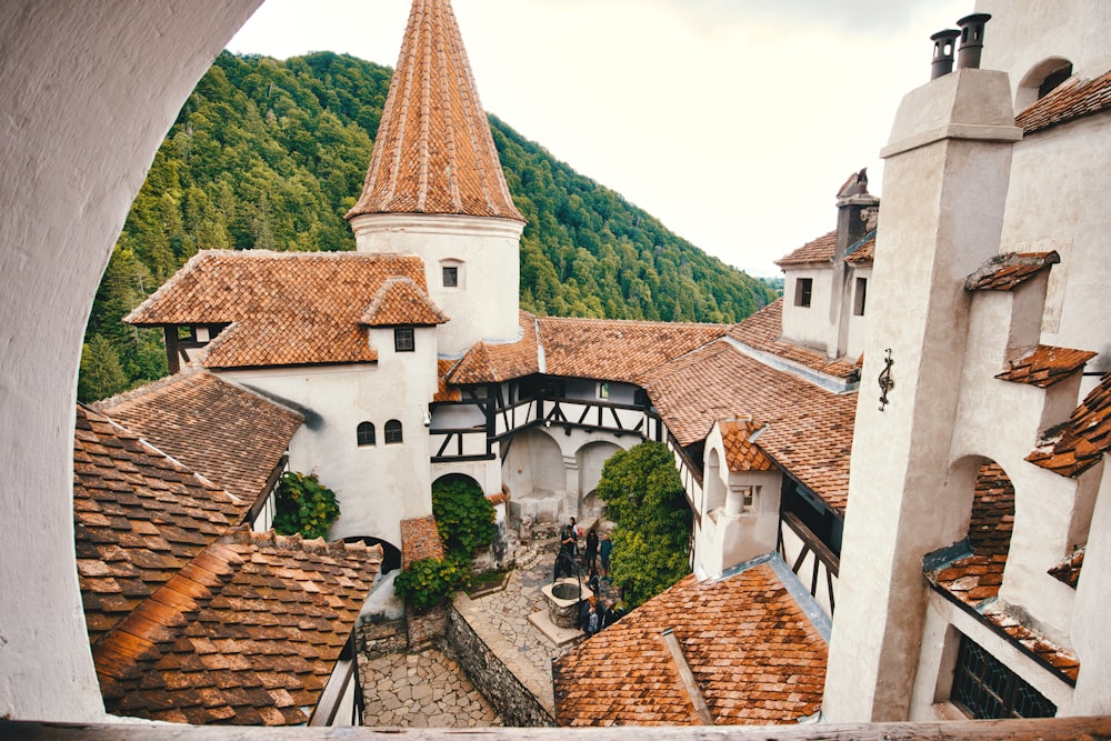 architectural photo of brown and white buildings