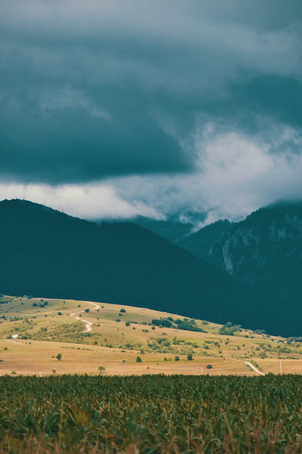 silhouette of mountain