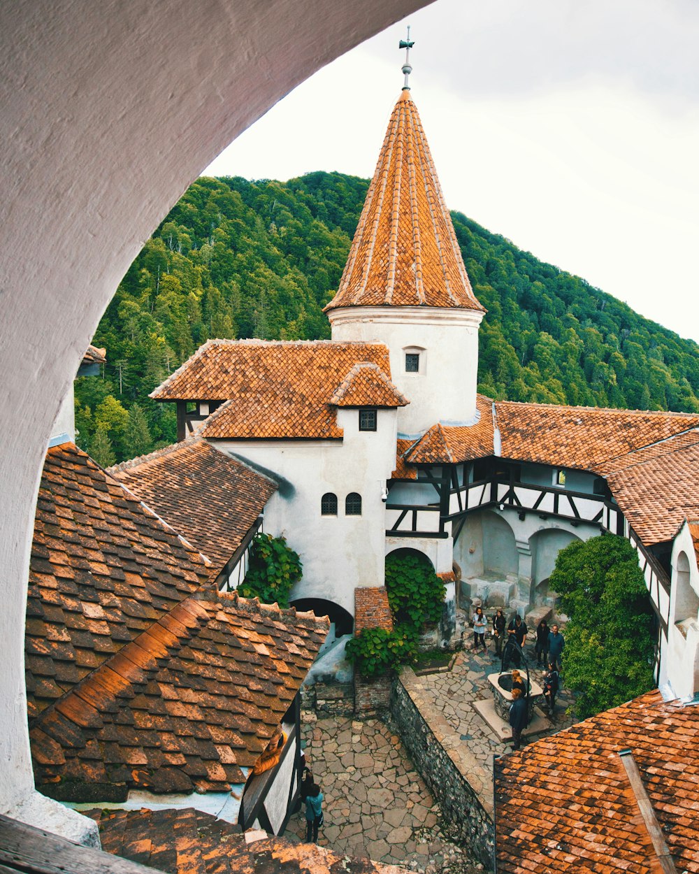 white and brown buildings