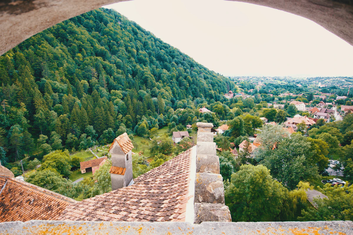 Turda Gorge (Cheile Turzii)