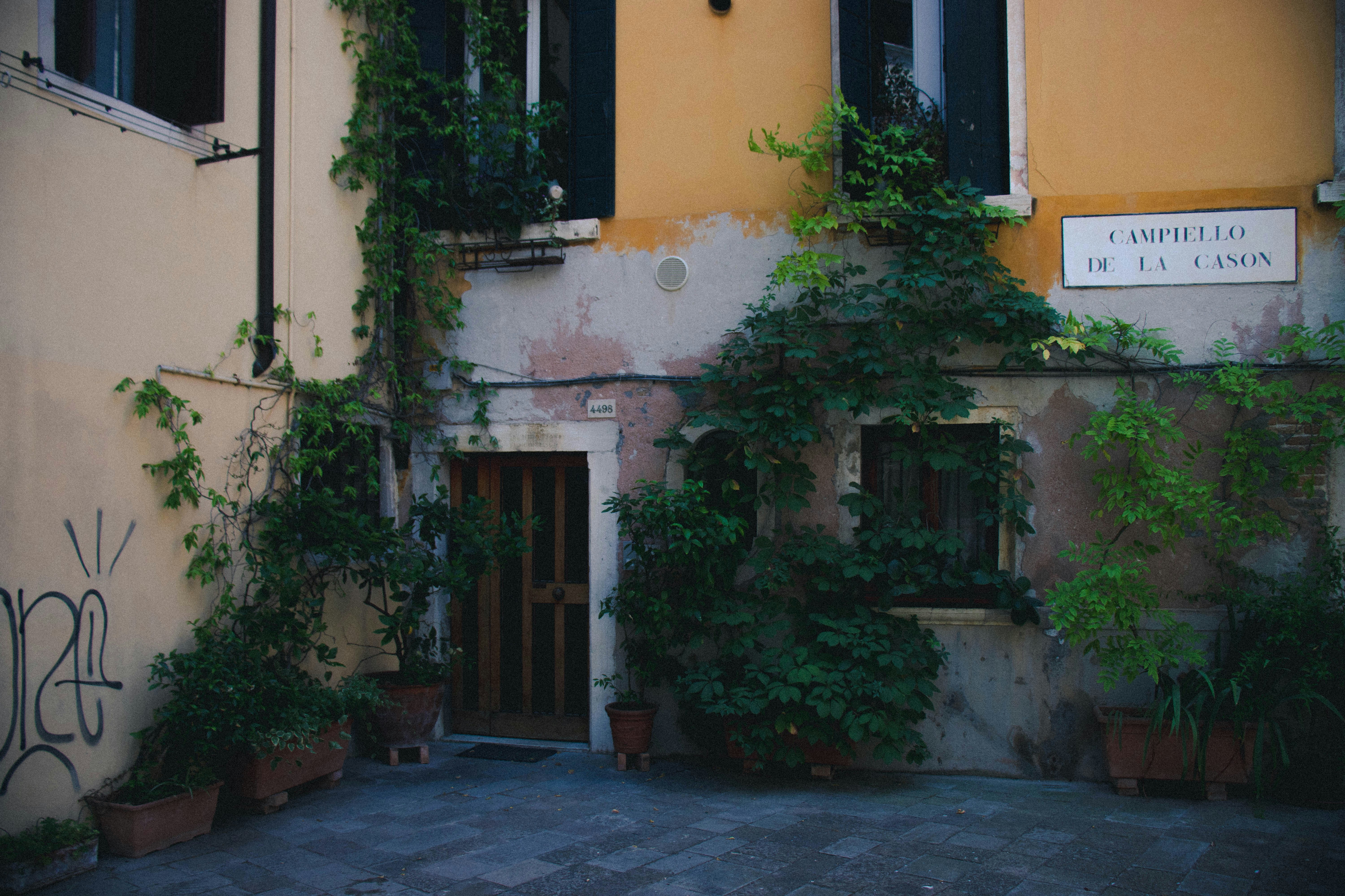 Photo by feeedderico