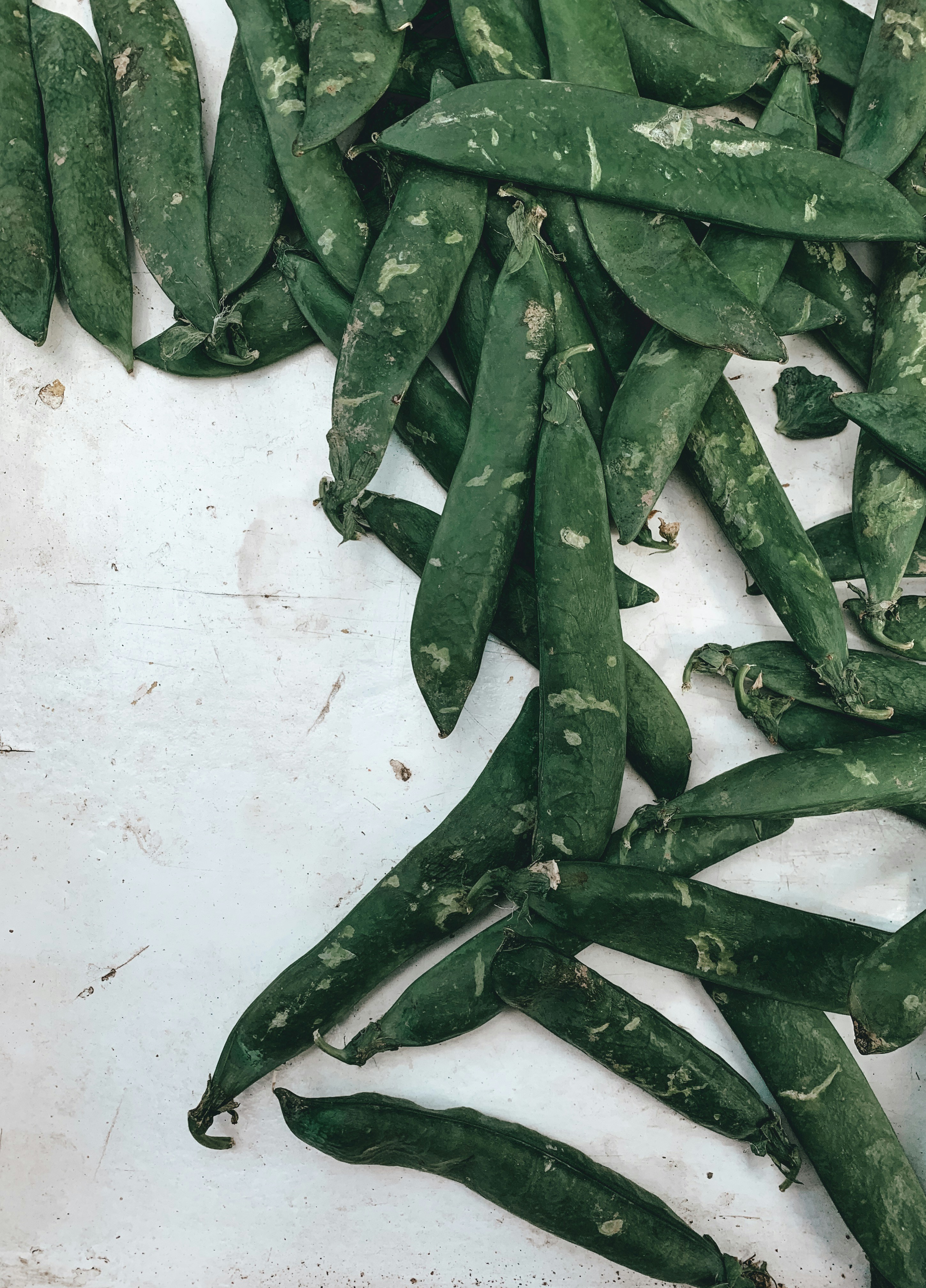 Photo by charlotablunarova