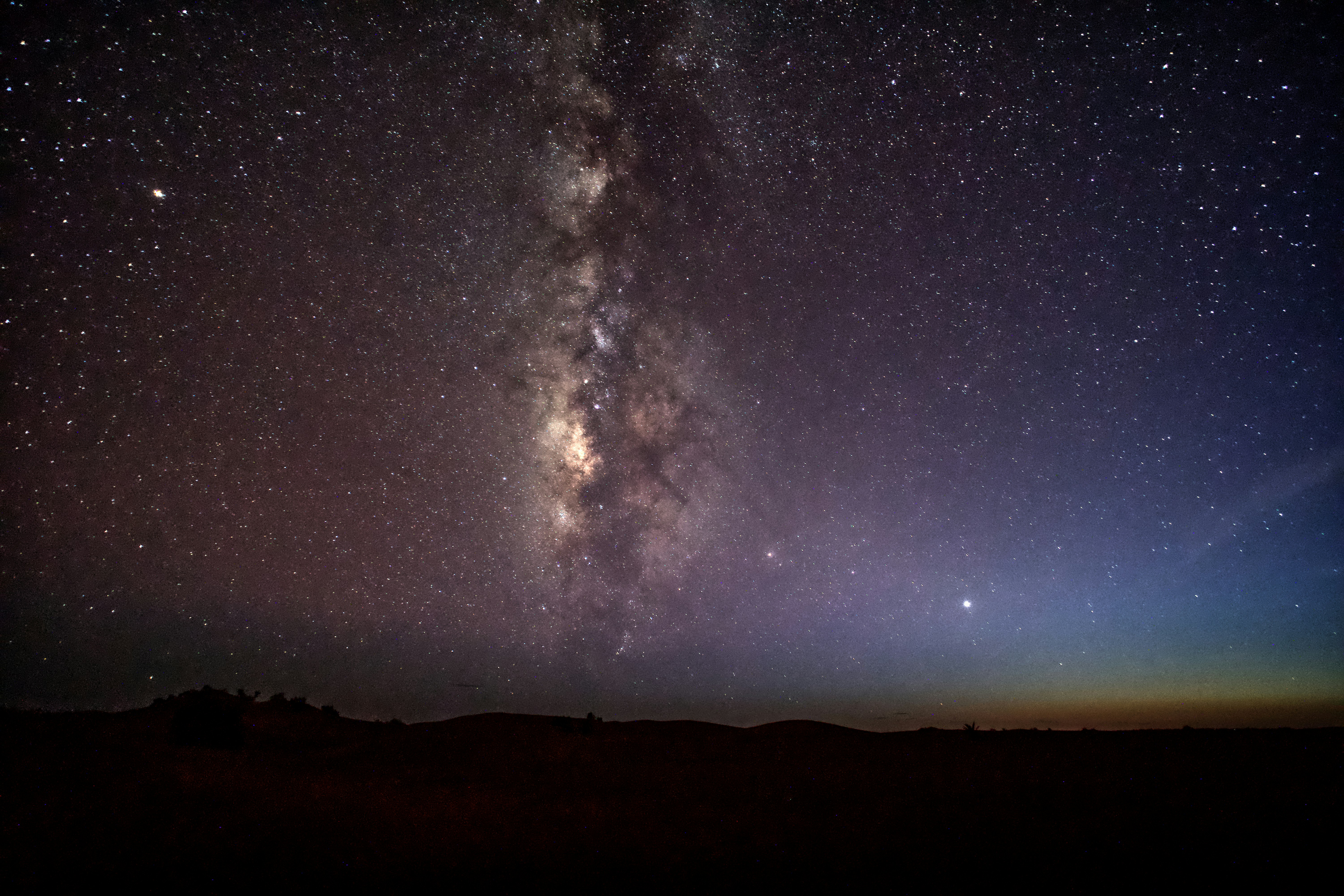 Photo by wolfgang_hasselmann