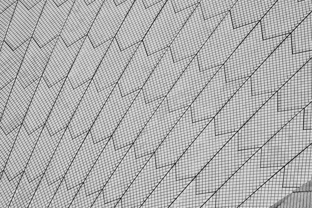 a black and white photo of a bird on a wire fence