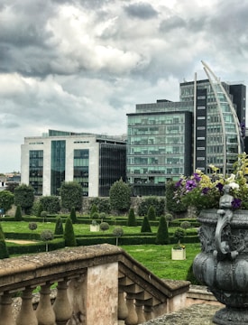 A sleek modern garden with geometric shapes and vibrant green plants in an urban setting.