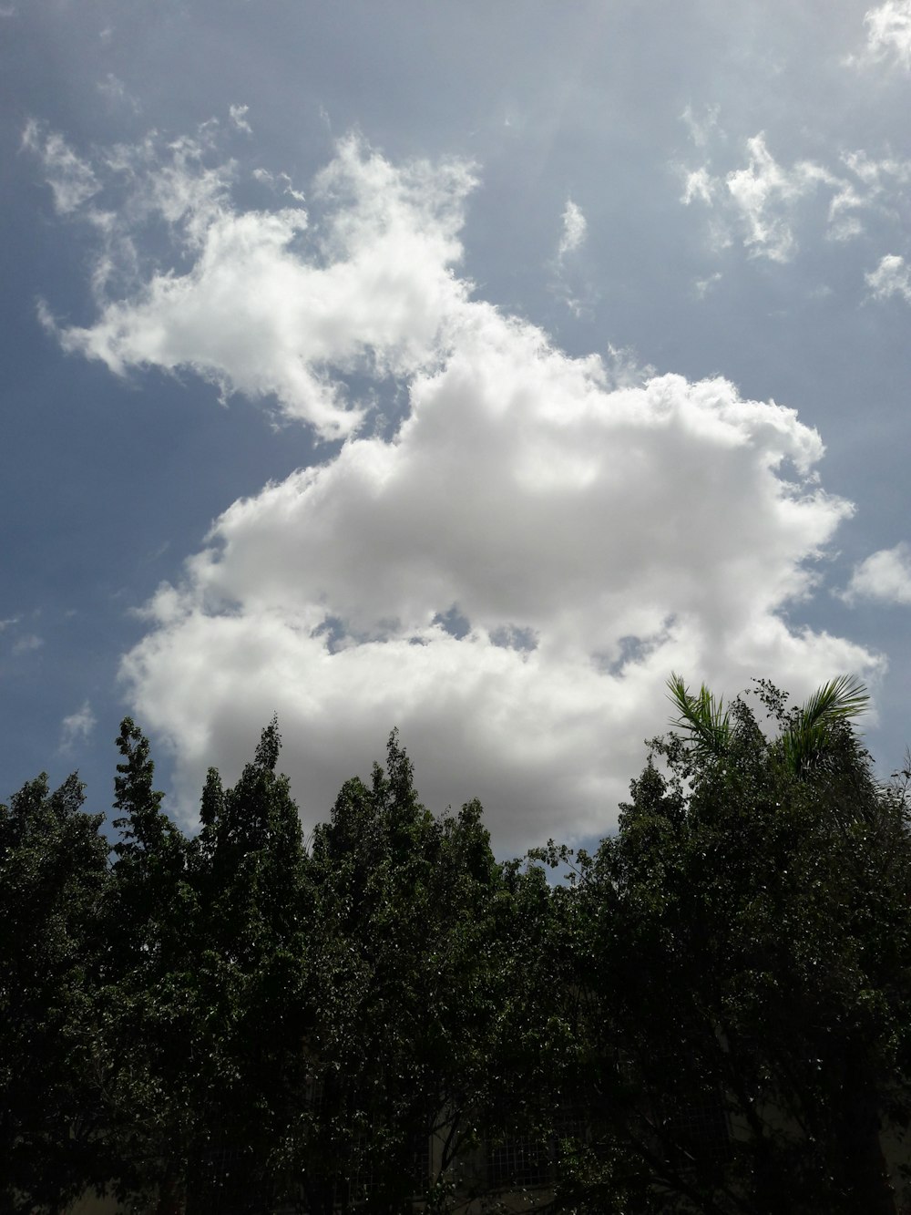 white clouds above green trees