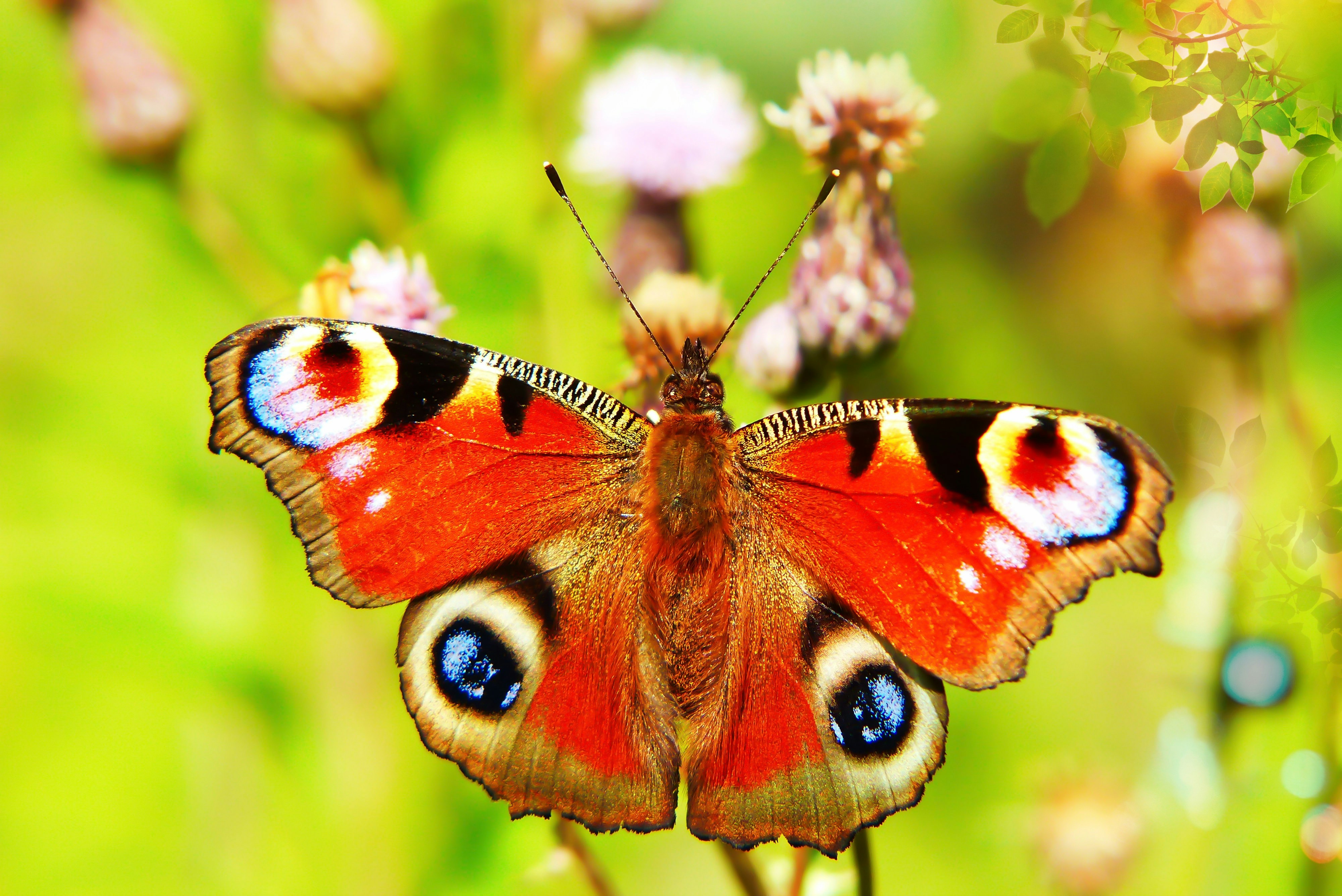 Living in a Limited Spectrum (image credits: unsplash)