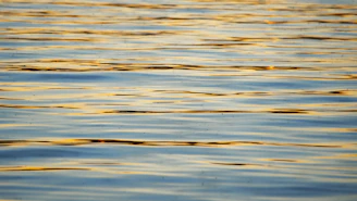 body of water