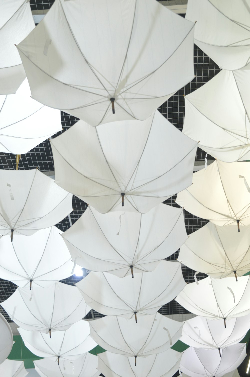 lighted white umbrellas on ceiling