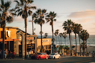 vehicles parked near tree and building