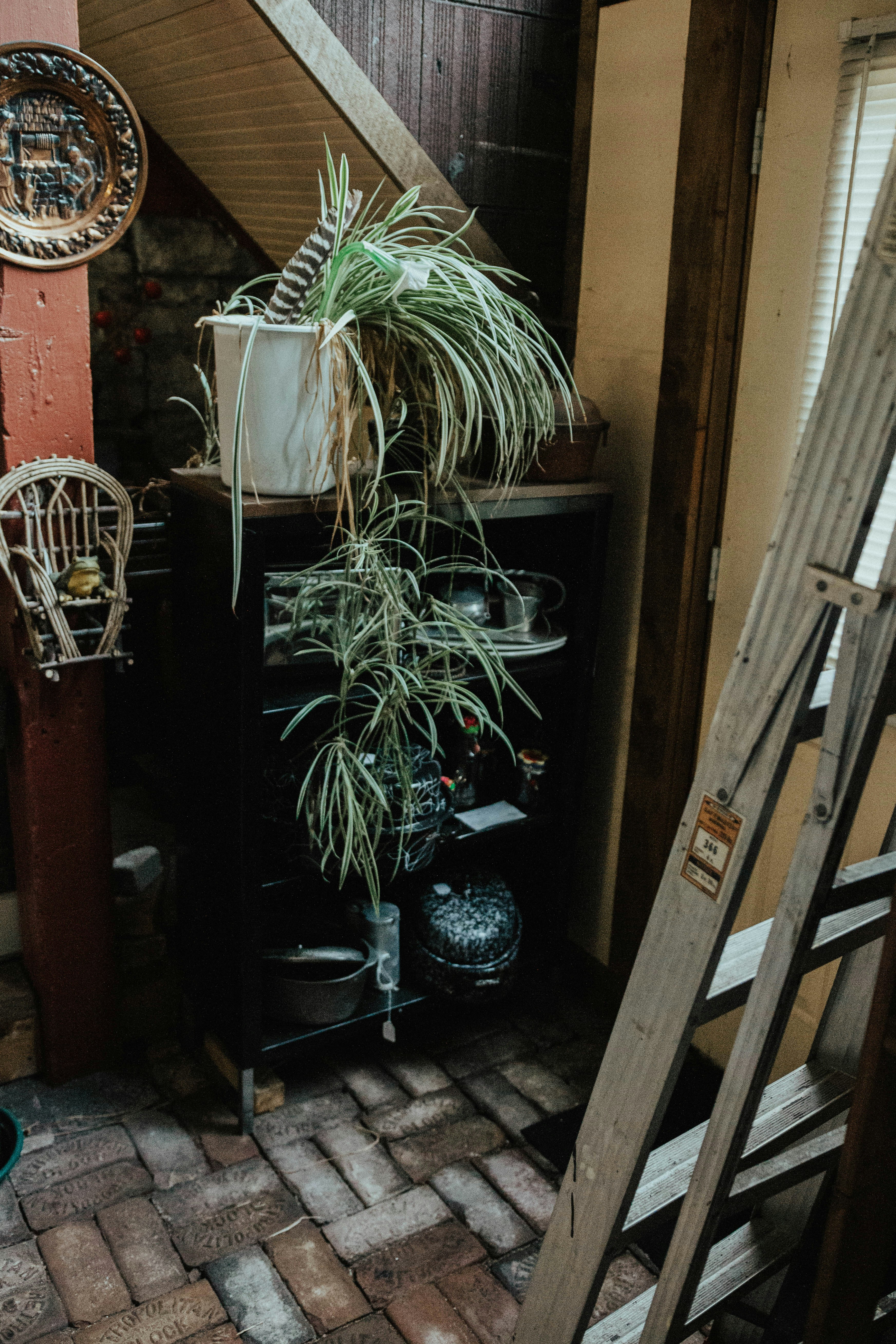 Photo by relentlessjpg