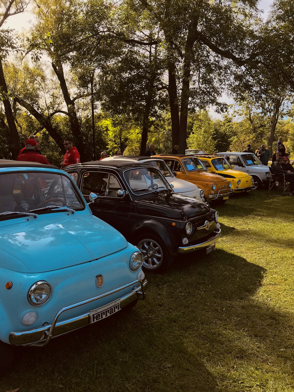 assorted-color vehicles parked near trees during daytime