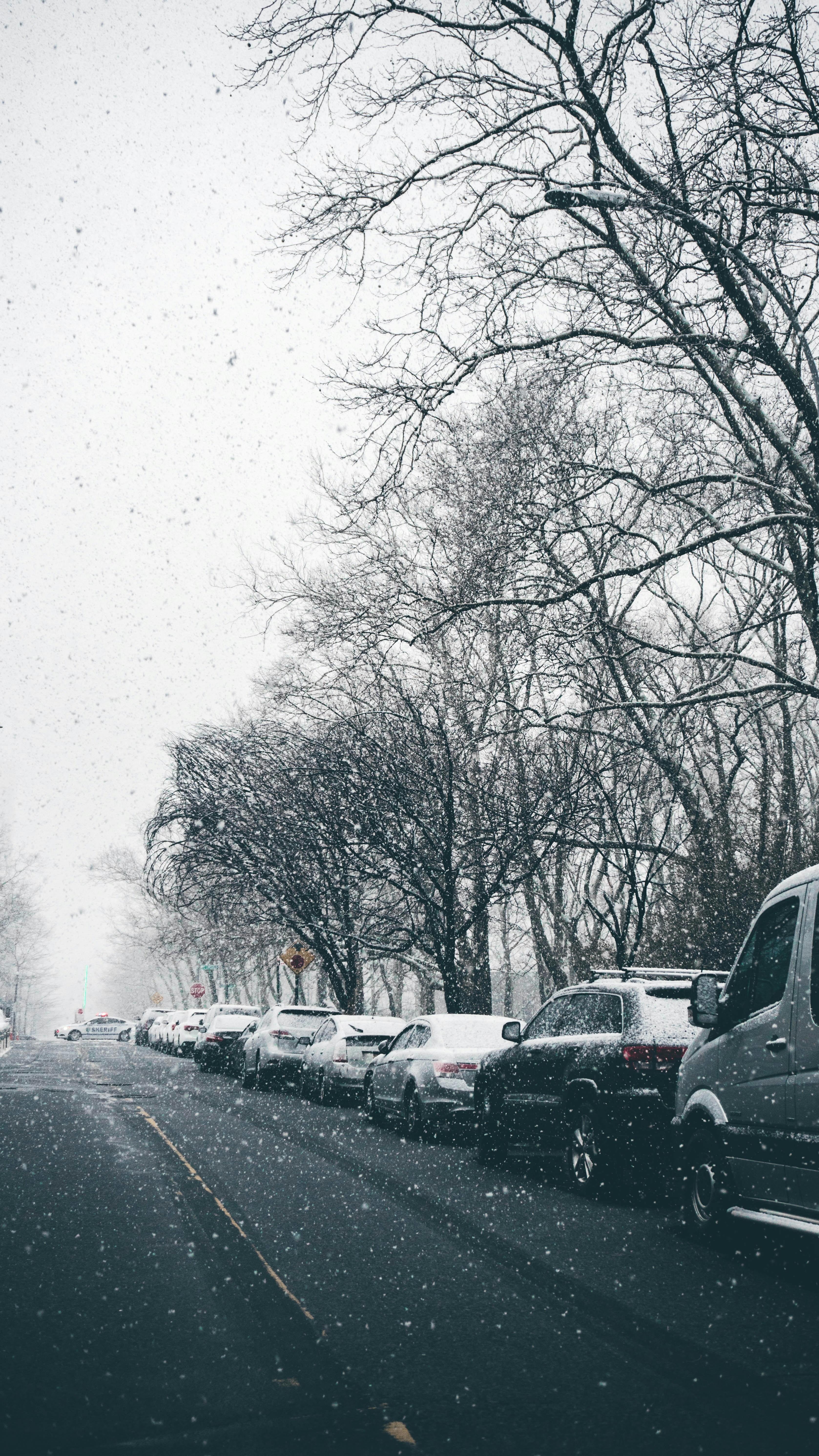 Photo by andredantan19