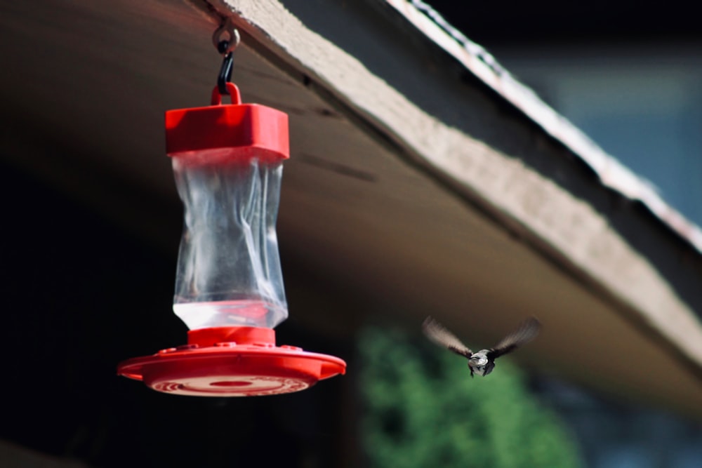 rotes Vogelhäuschen hängt an der Decke