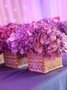 Lavish hydrangea flowers in shades of purple and pink are arranged in ornate, gold-textured square vases. The flowers fill the frame, with a softly blurred backdrop in similar hues, creating a dreamy and elegant atmosphere.