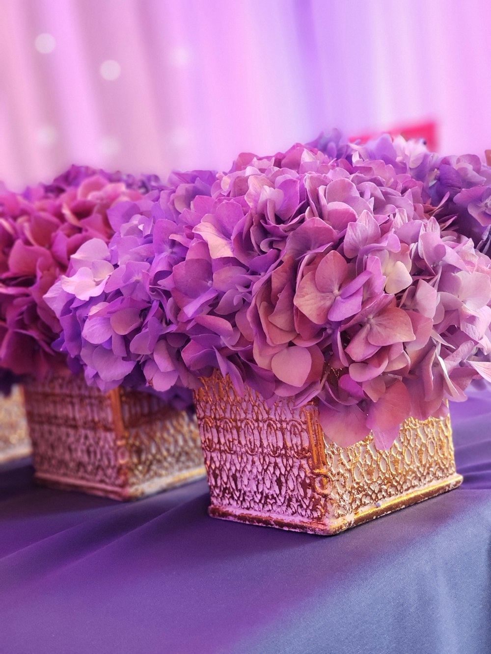 purple hydrangeas in vases
