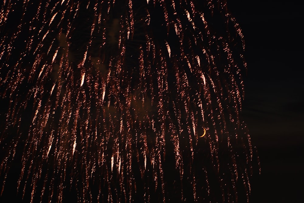 red fireworks display