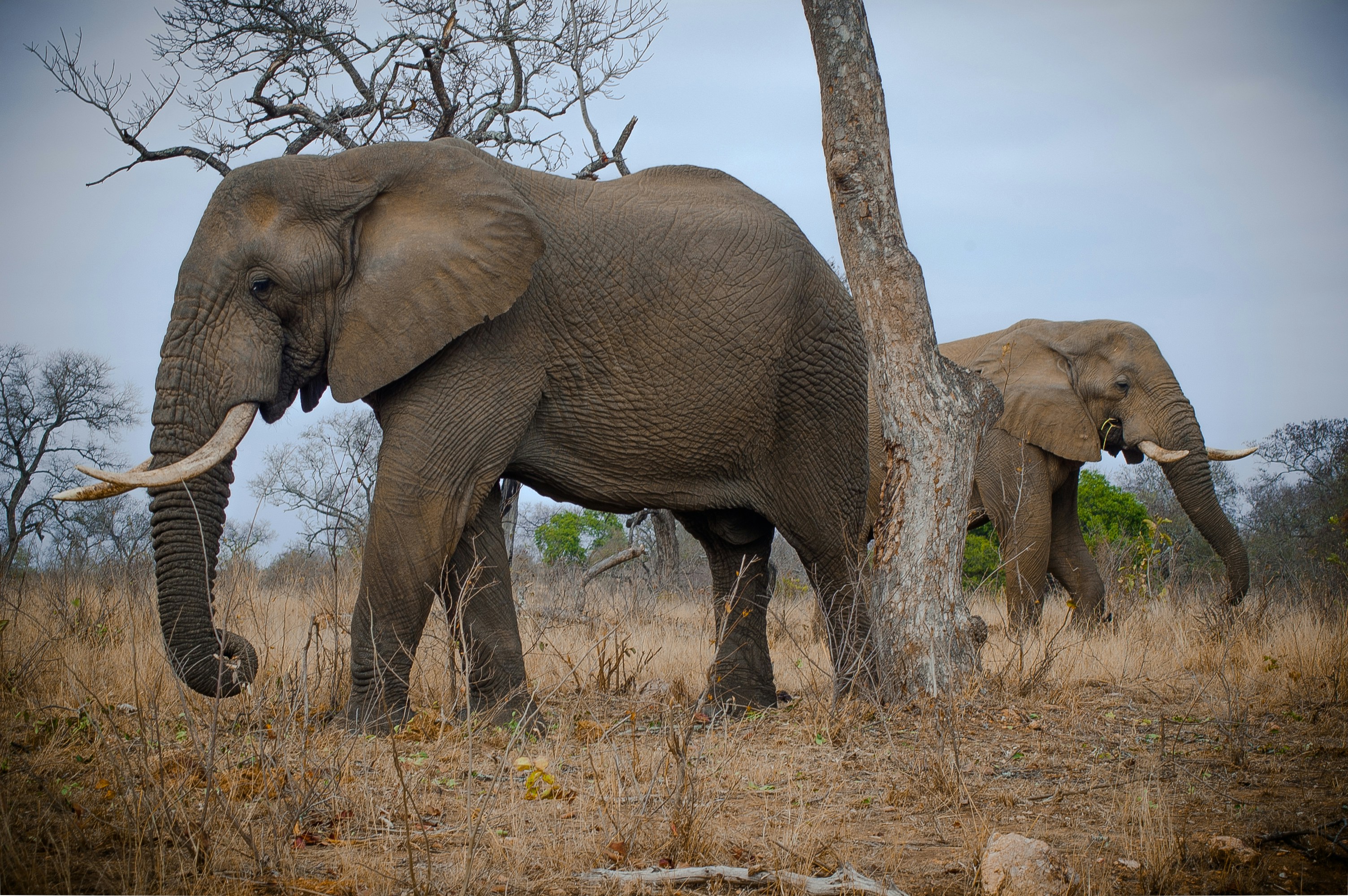 Photo by mrsduplessis