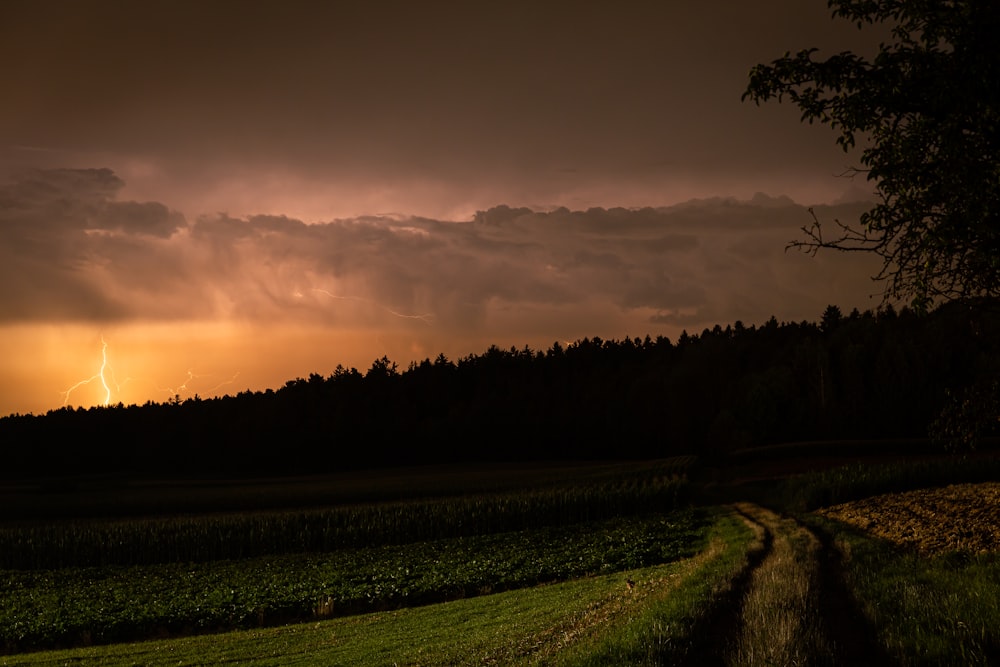 a field with a path leading to a forest with a lightning bolt in the distance
