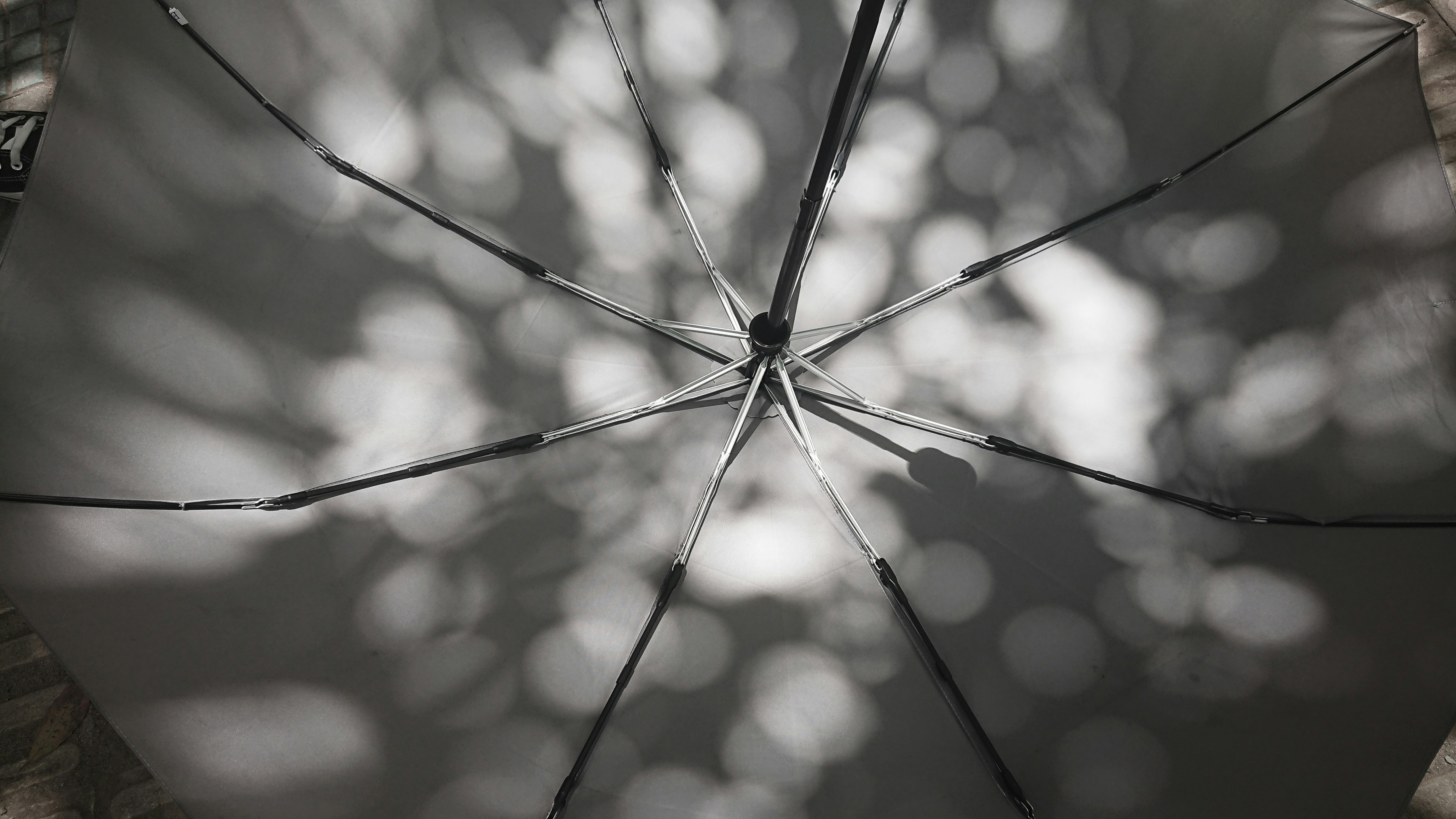 Classic Black Umbrella