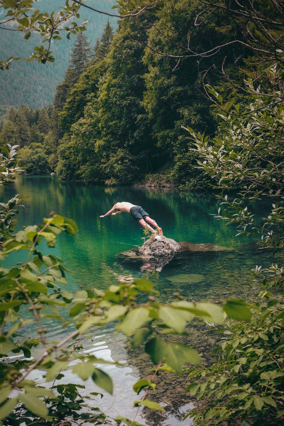 topless man wearing black shorts about to dive on water near trees