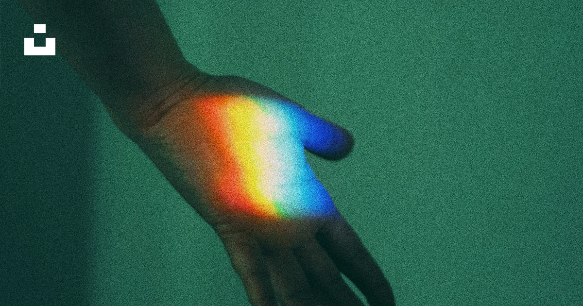 Person's left hand photo – Free Human Image on Unsplash