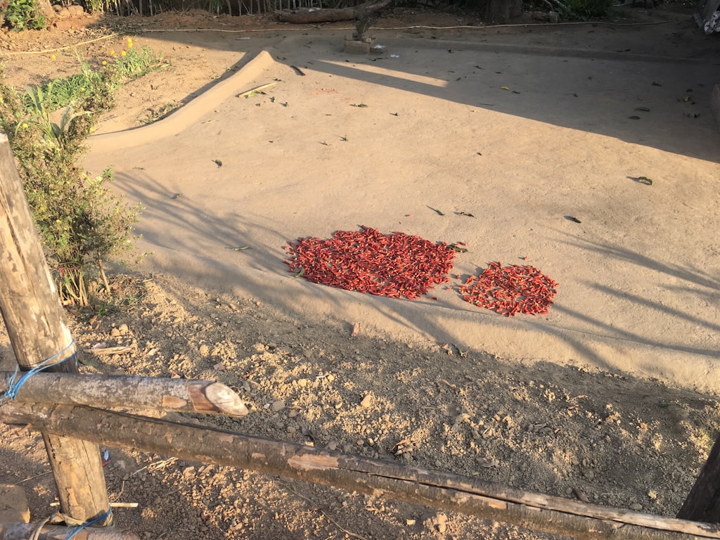 Kashmiri Red Chili