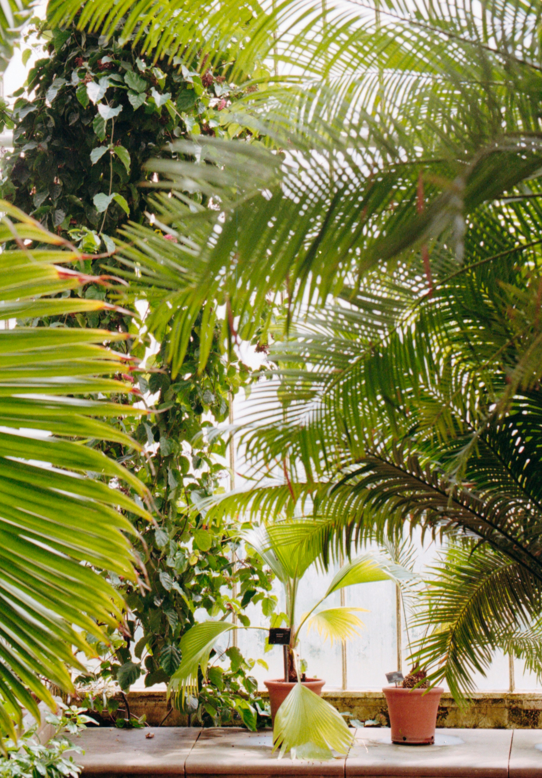 Photo by anniespratt