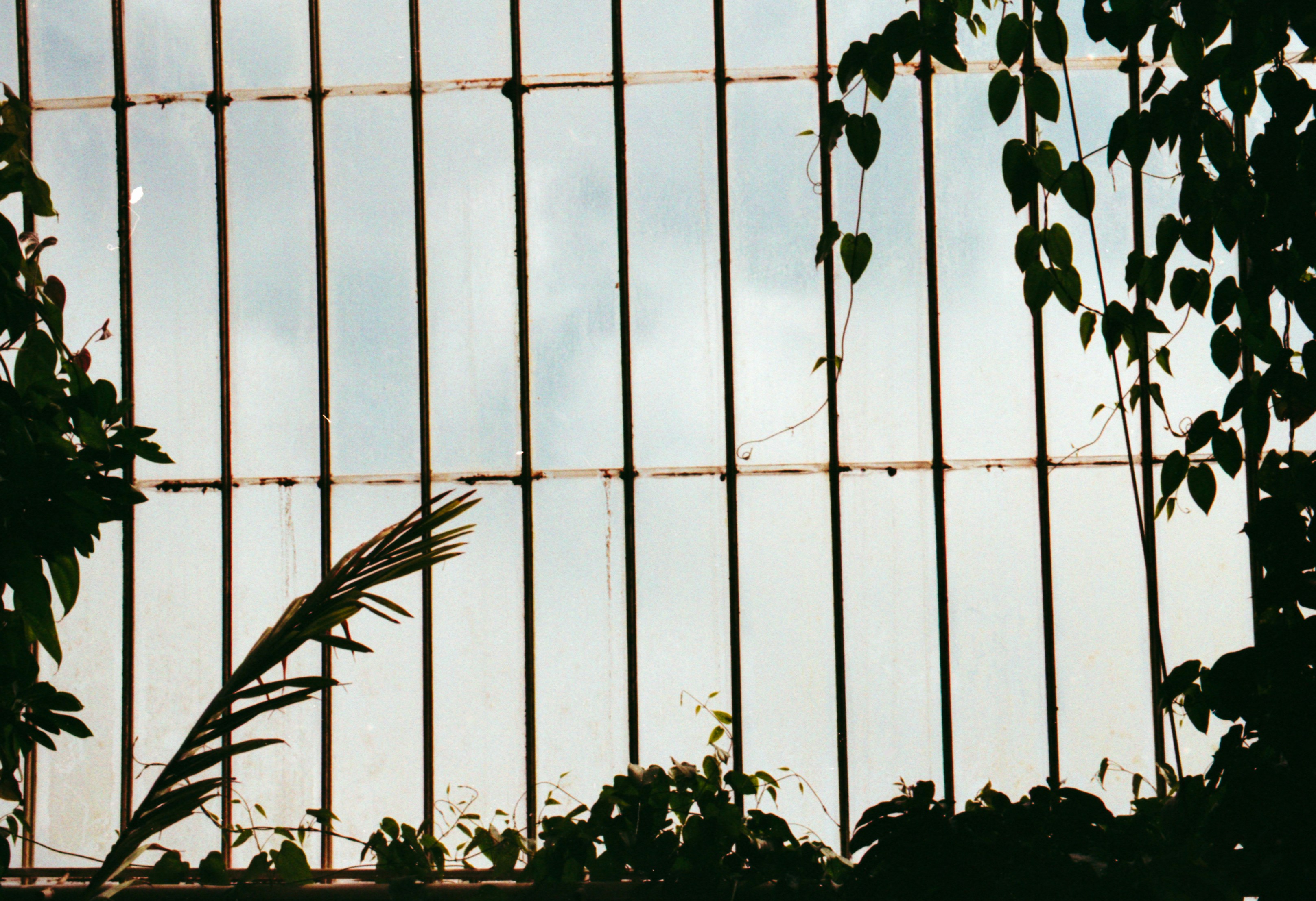Photo by anniespratt