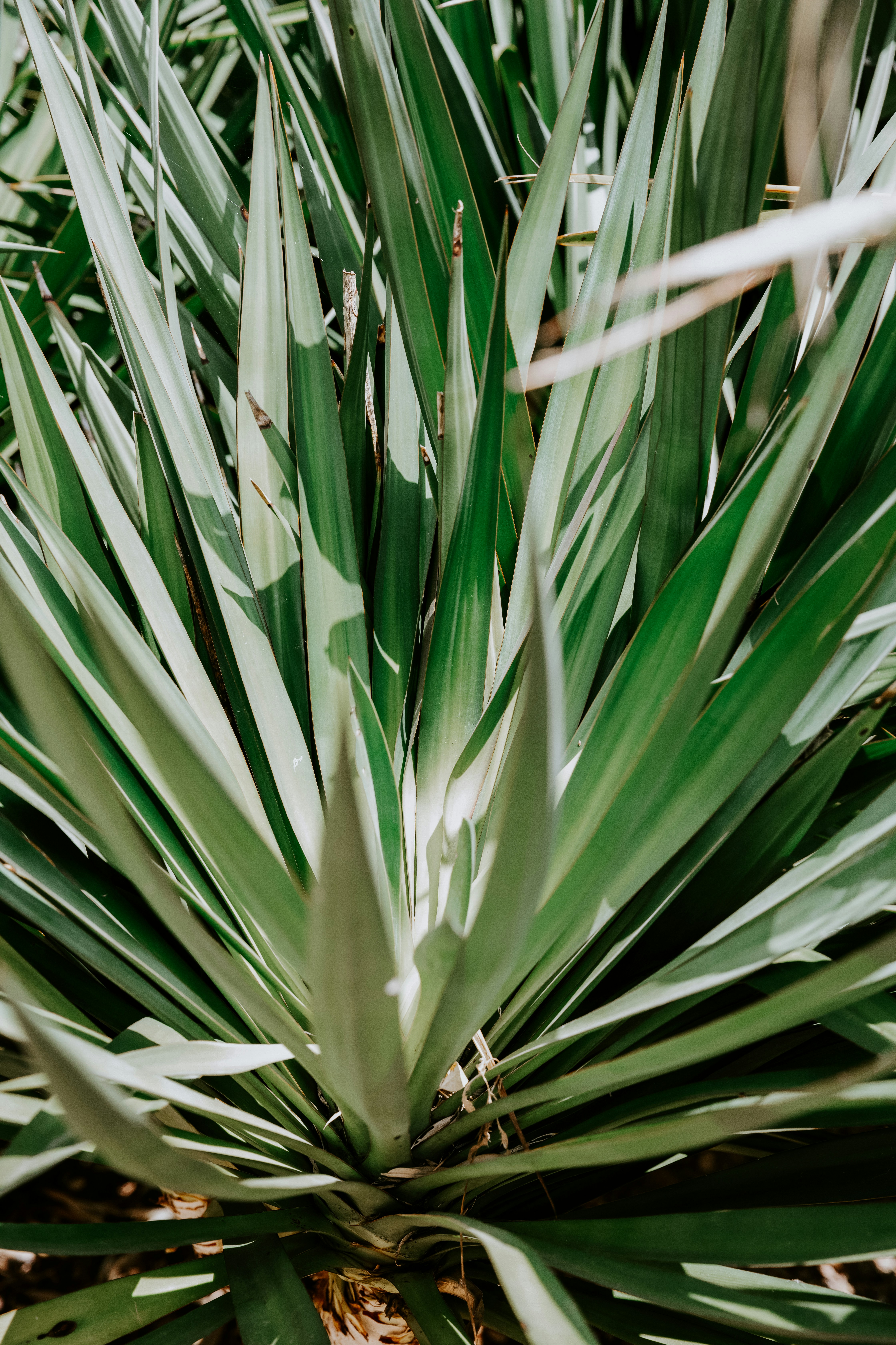 Photo by fabriceaudio