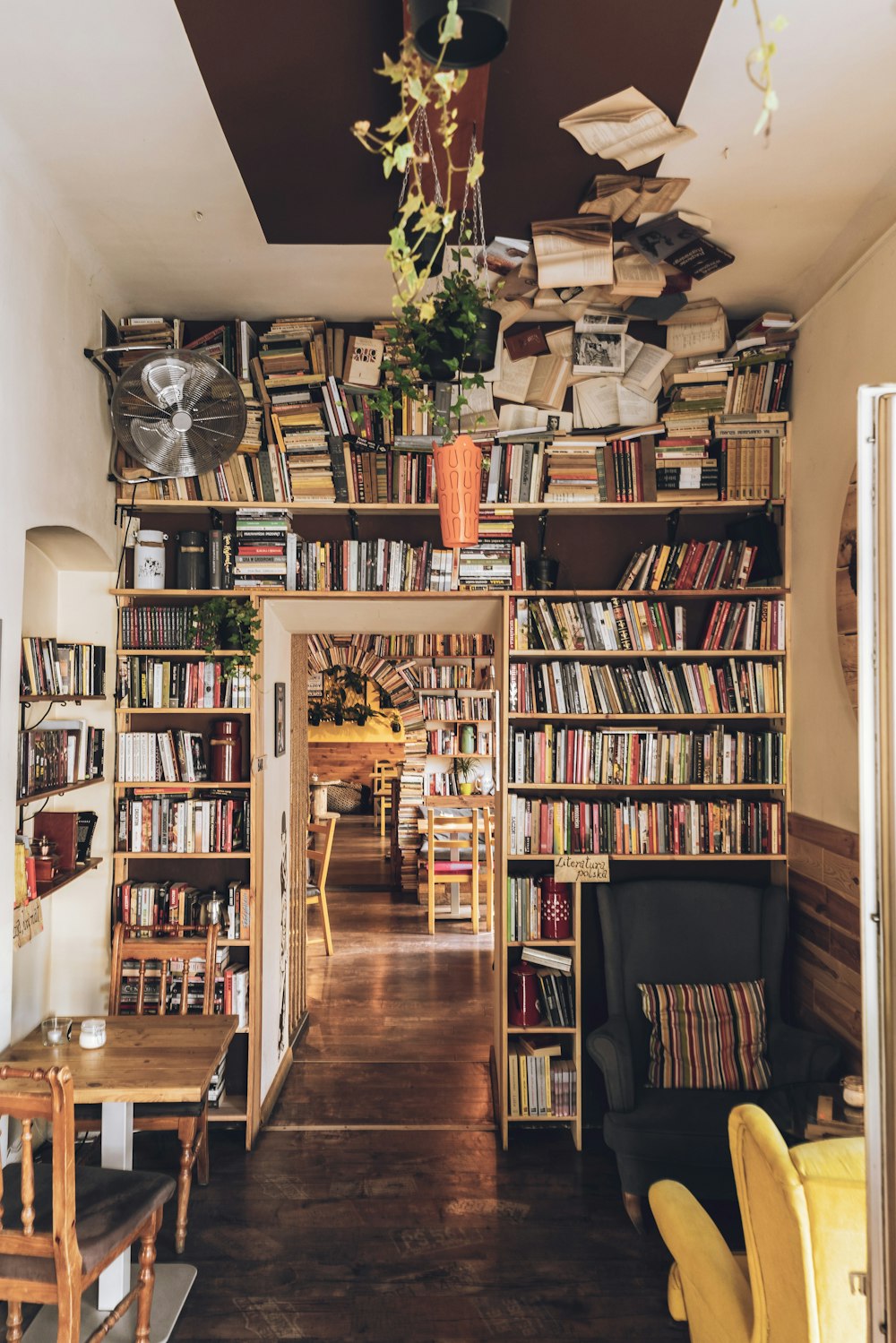 assorted book on shelf