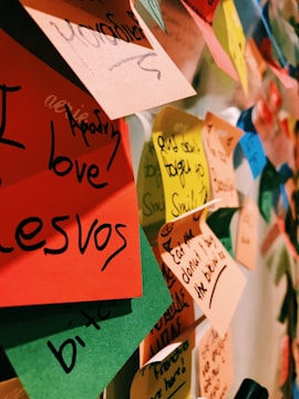 assorted-color printer papers on wall