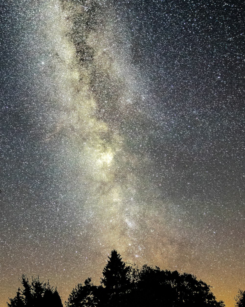 cielo stellato sulla fotografia a fuoco