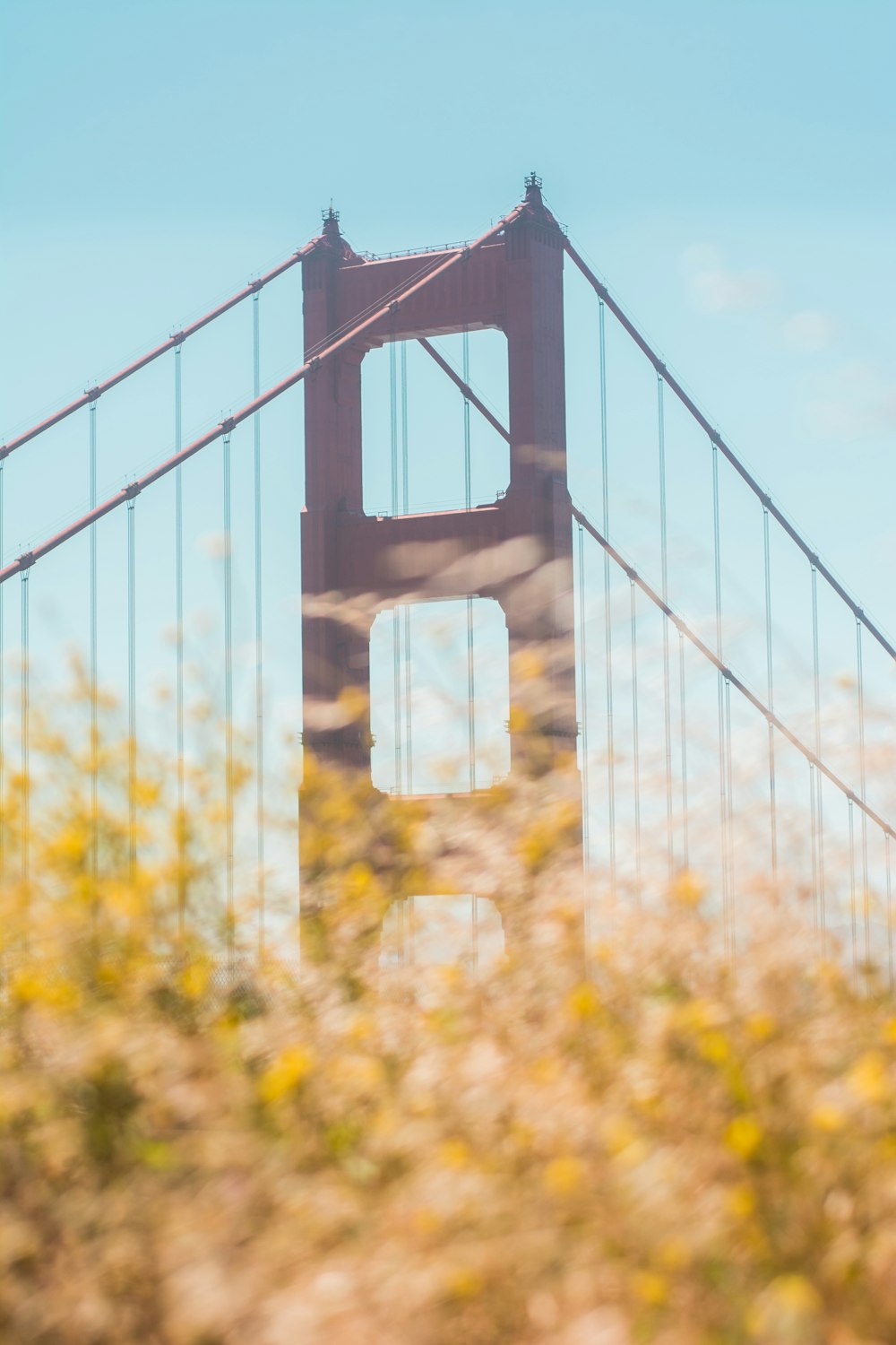 brown concrete bridge