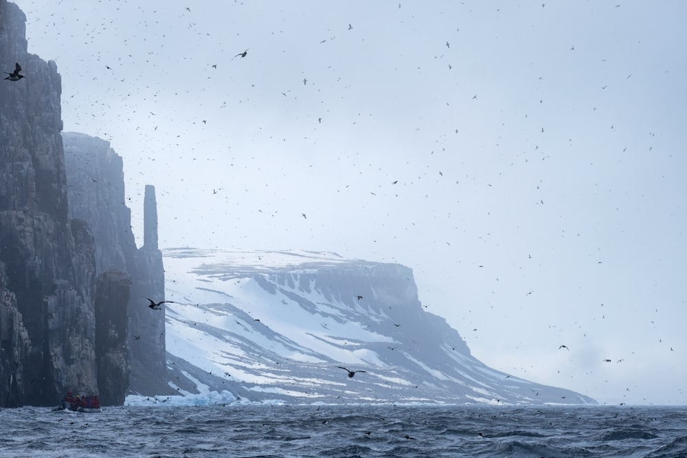 seagulls flying near mountain